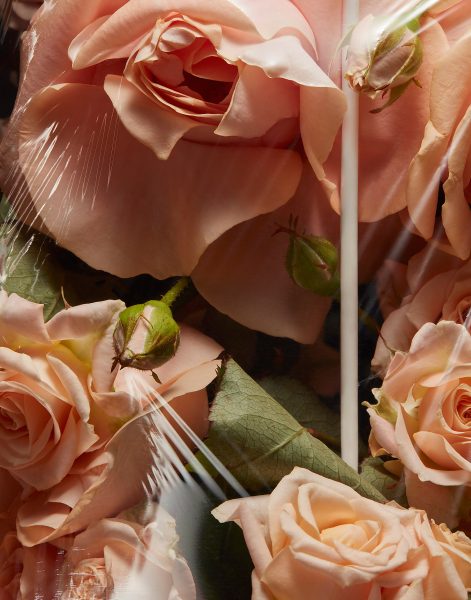 Aaron Tilley - Portfolio