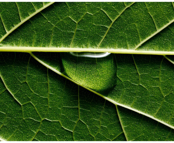 Textures - Portfolio