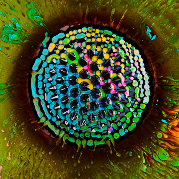 Textures - Portfolio