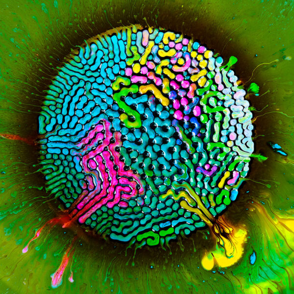 Textures - Portfolio