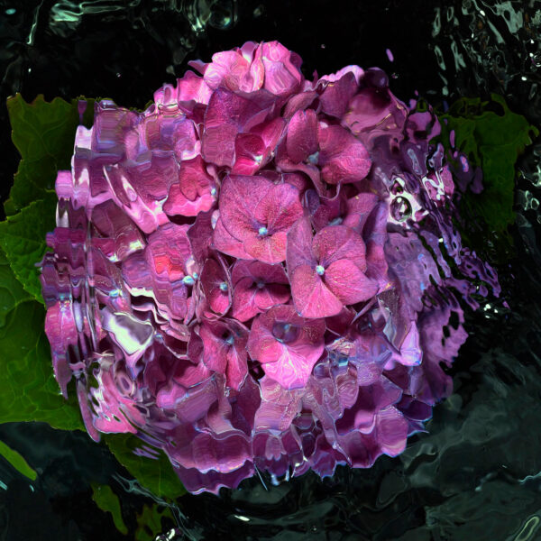 Textures - Portfolio