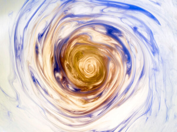 Textures - Portfolio