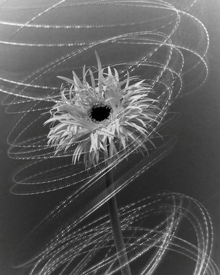 Conceptual - Portfolio