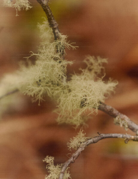 James parker - Portfolio