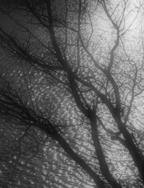 James parker - Portfolio