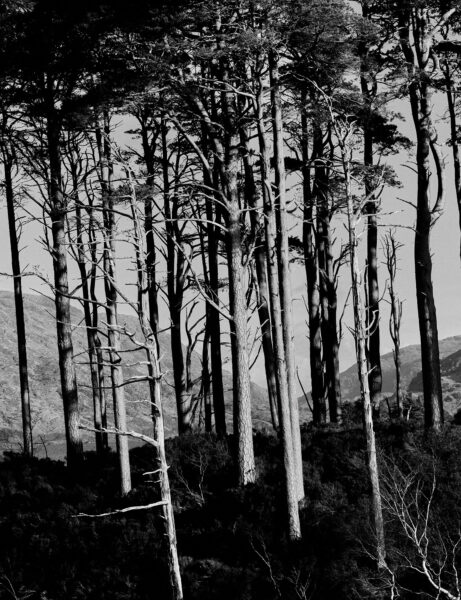 James parker - Portfolio