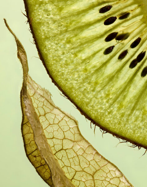 Food - Portfolio